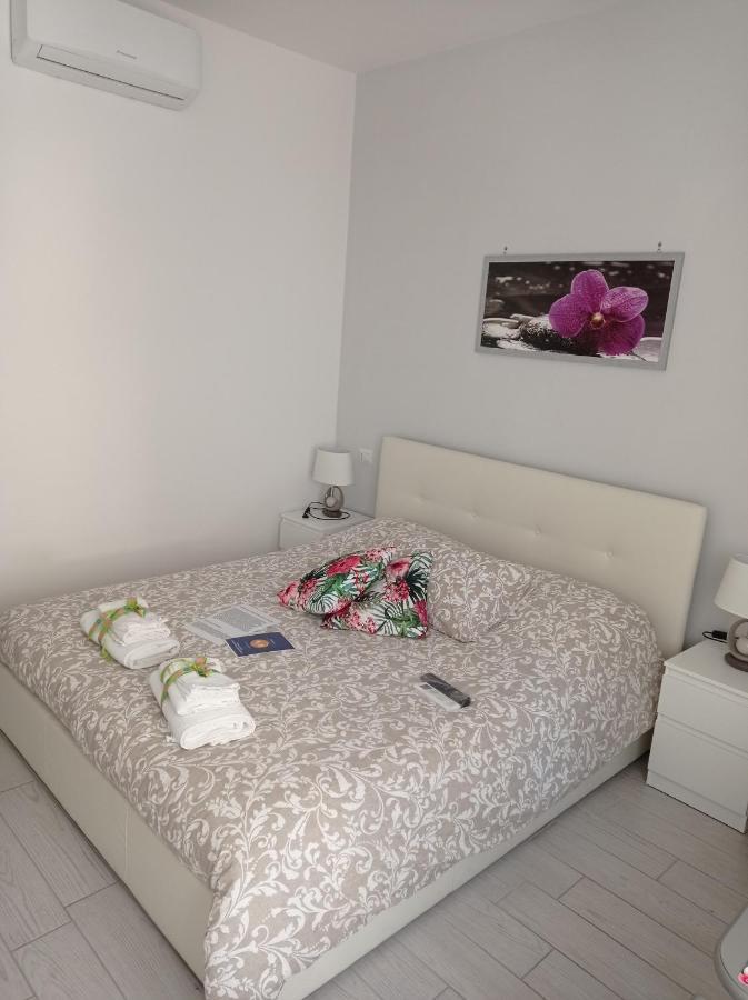 B&B La Palmetta Civitavecchia Exteriér fotografie