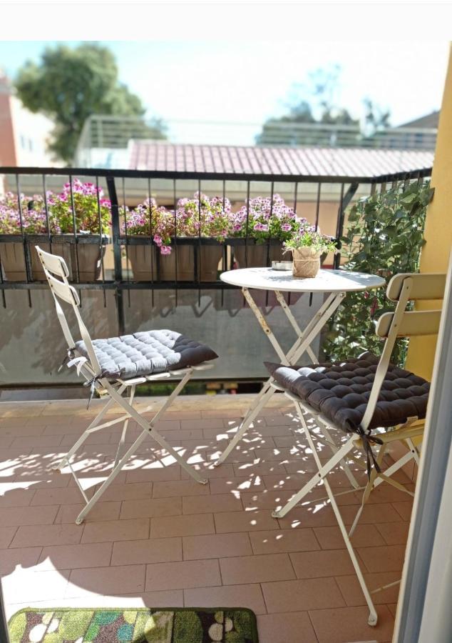 B&B La Palmetta Civitavecchia Exteriér fotografie